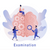 Doctor Nafsi Arab Mental Health Online Therapy